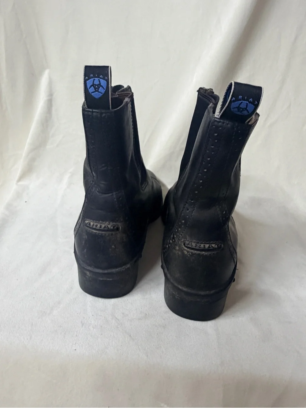 Ariat 54701